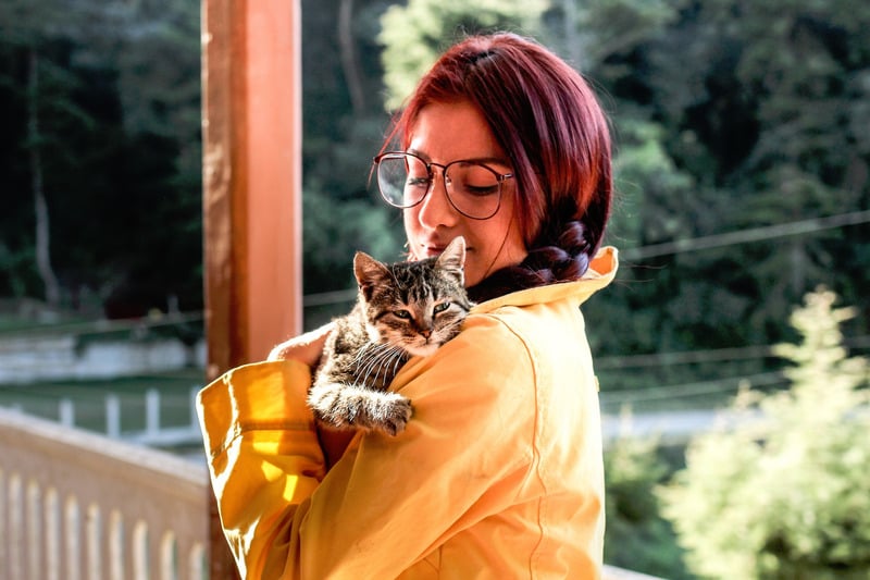 Toilettage et soin d’un animal — référence visuelle